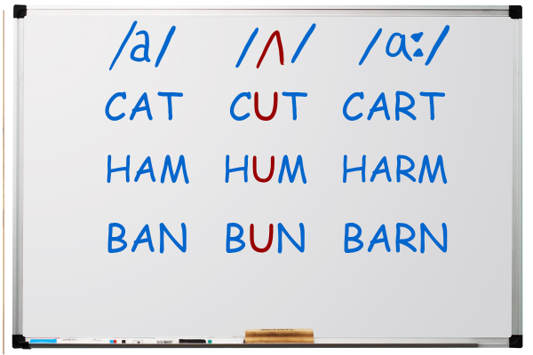 /ʌ/ – the UH Vowel - Pronunciation Studio