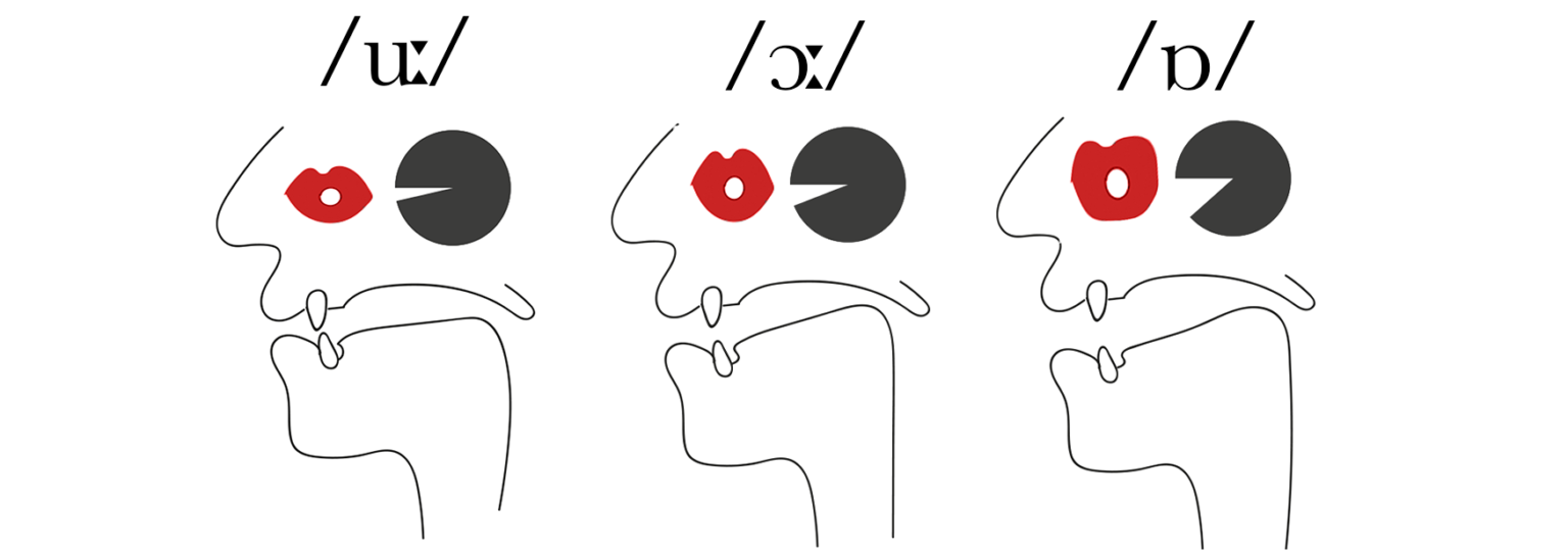 Monophthong Vowel Sounds - Pronunciation Studio