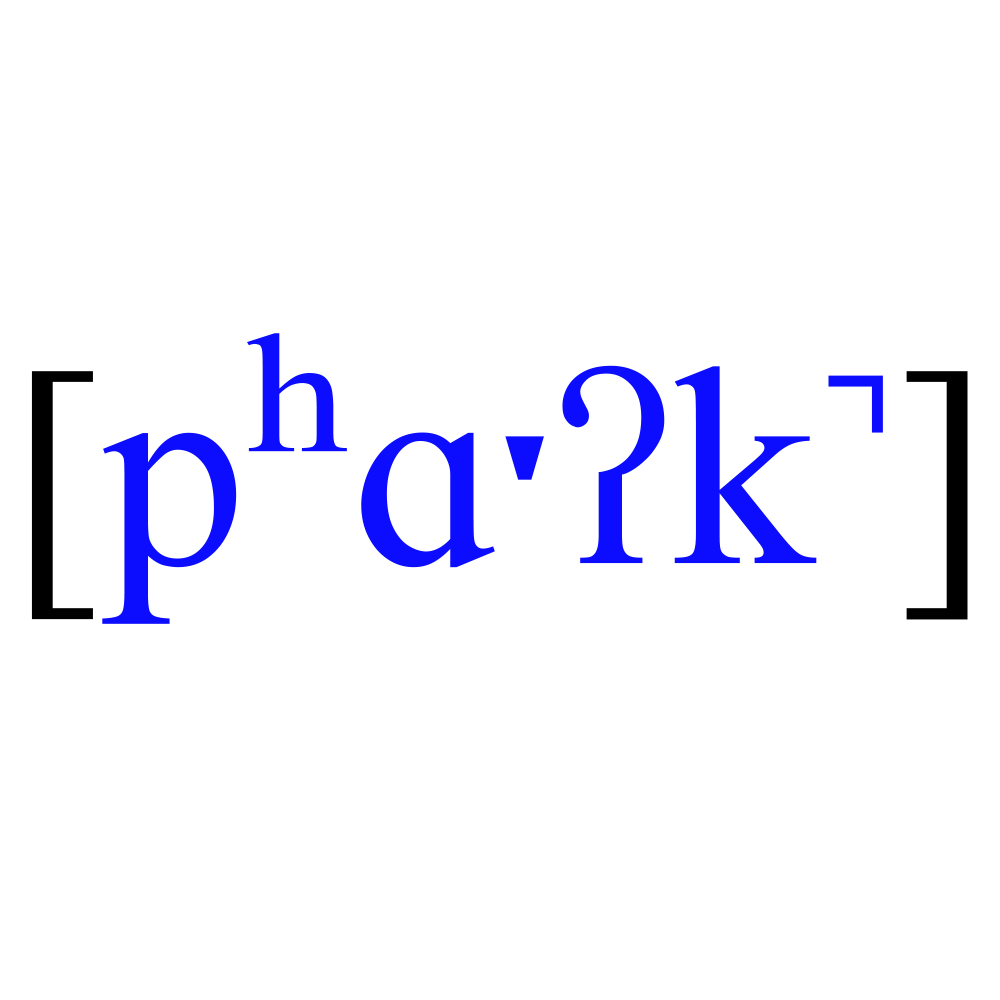 level 3 – phonetic transcription